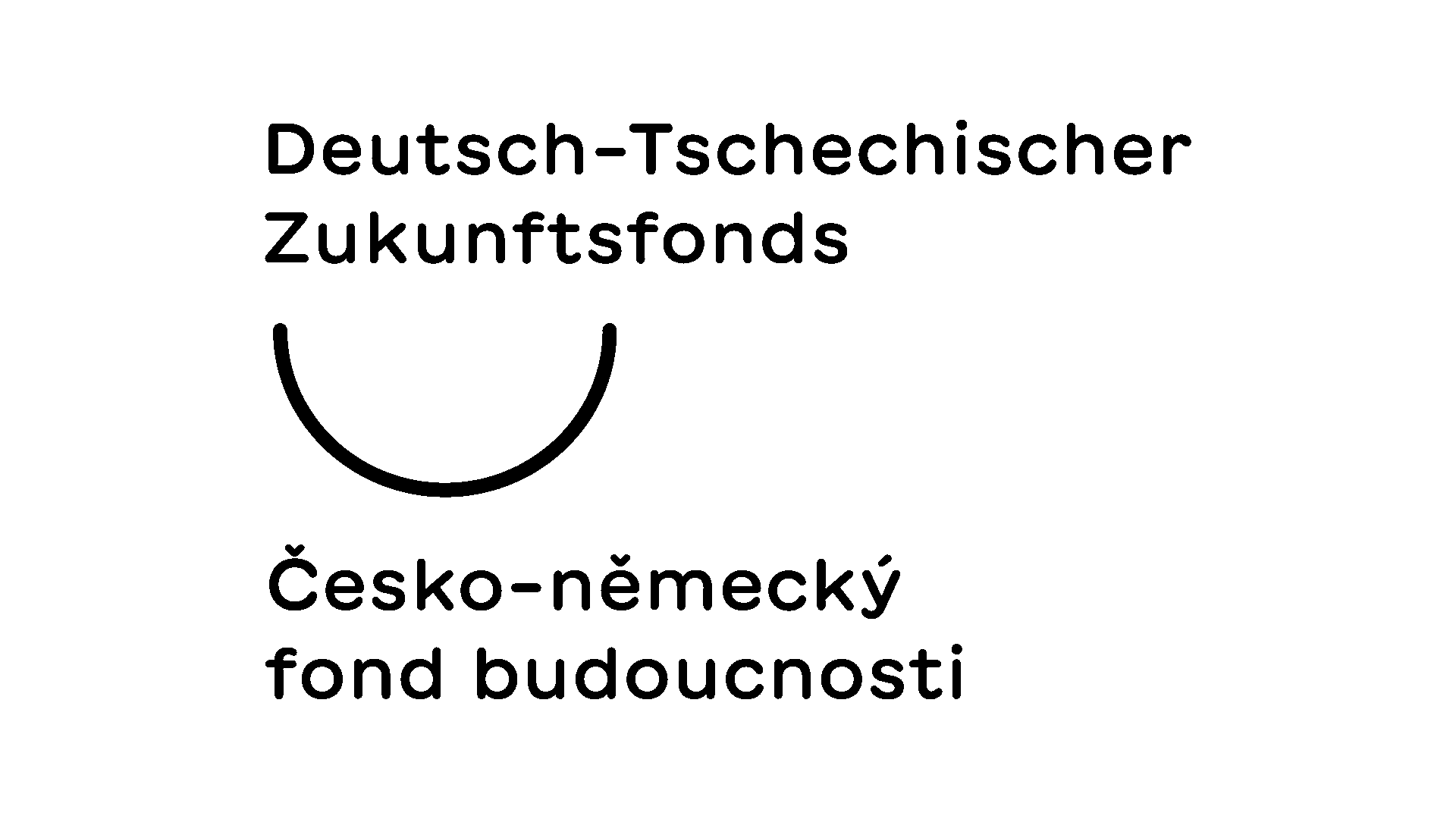 Logo in Schwarz: Deutsch-Tschechischer Zukunftsfonds